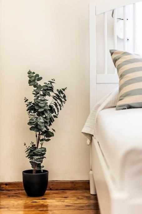 Diana'S Centrally Located Apt@ Old Town Of Corfu Corfu  外观 照片